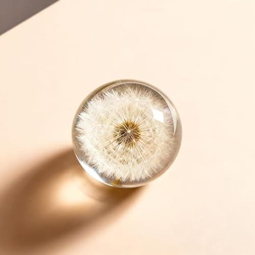 Paperweight With a Real Dandelion Inside