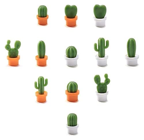 Cactus Fridge Magnets That Hold Paper