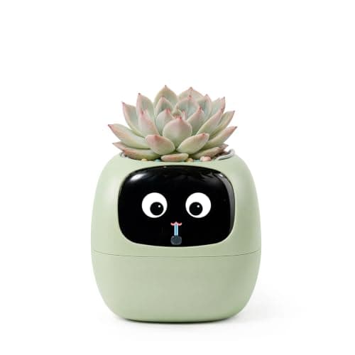 Smart Planter That Waters Itself