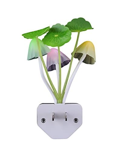 Mushroom Light That Senses the Dark
