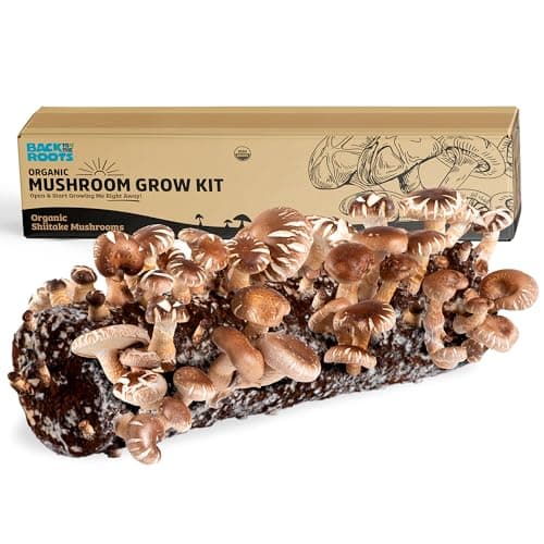 Mushroom Grow Kit for 10-Day Harvests