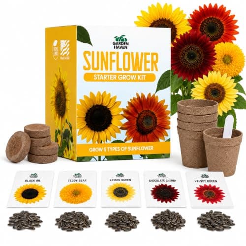 Sunflower Grow Kit for Bees and Finches