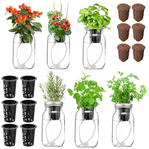 Mason Jar Kit That Waters Herbs Itself
